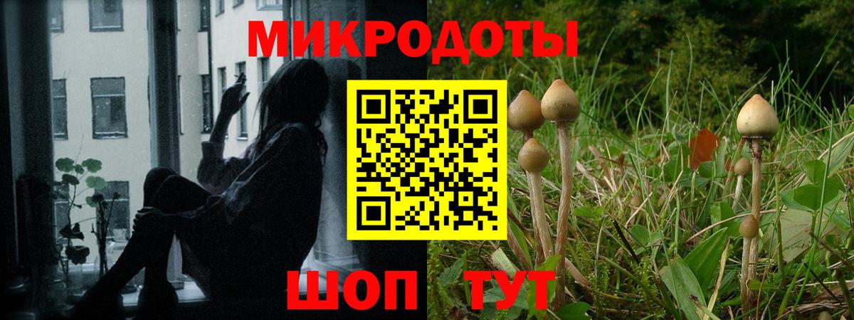 Галлюциногенные грибы ЛСД  наркота  Муравленко  Вход с VPN  Галлюциногенные грибы Psilocybe 