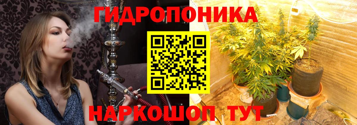 Каннабис Bruce Banner Муравленко
